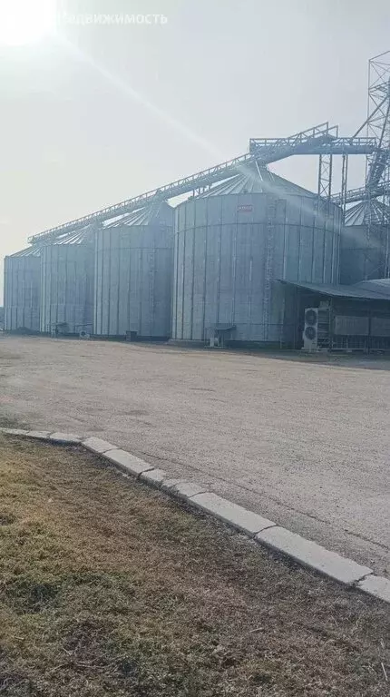 Помещение свободного назначения (344 м) - Фото 1