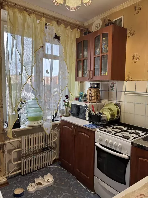 1-к кв. Ленинградская область, Сосновый Бор Высотная ул., 1 (32.0 м) - Фото 0
