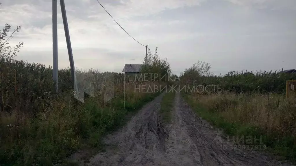 Участок в Тюменская область, Тюмень На Липовом кп, ул. Николая ... - Фото 1