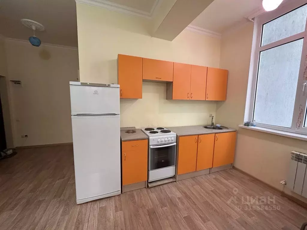 Студия Краснодарский край, Сочи Яна Фабрициуса мкр, ул. Метелева, 23/1 ... - Фото 1
