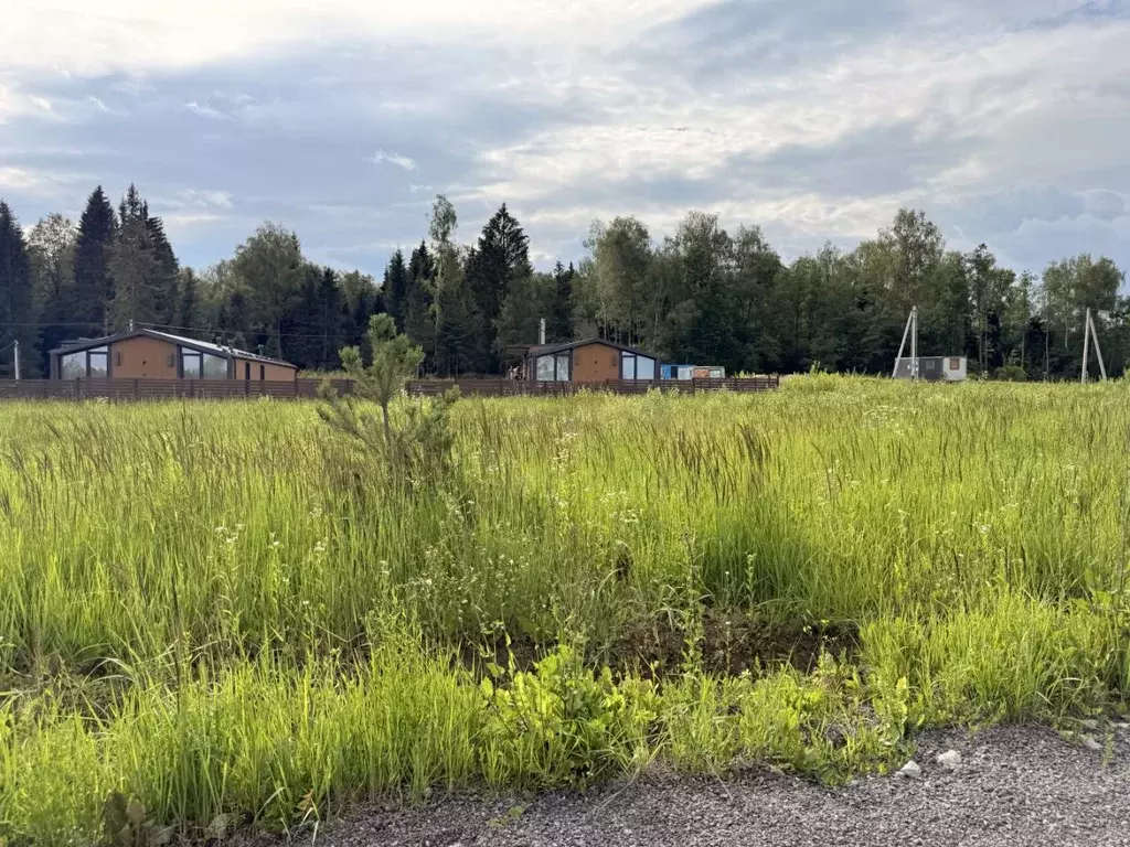 Участок в Московская область, Истра муниципальный округ, д. Большое ... - Фото 2