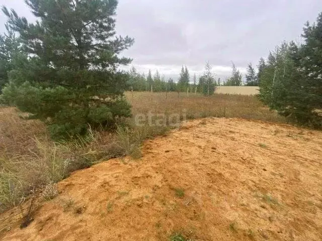 Участок в Саха (Якутия), Якутск городской округ, с. Тулагино  (10.0 ... - Фото 0