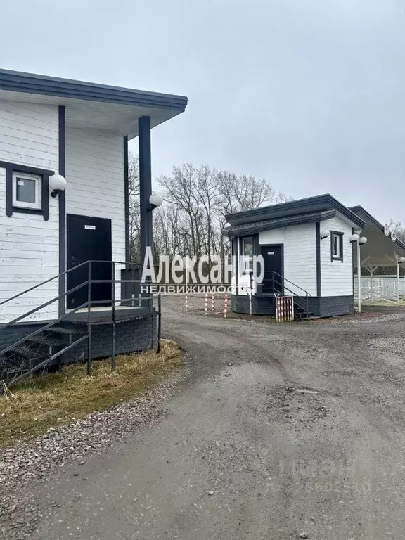 Участок в Ленинградская область, Ломоносовский район, Ропшинское ... - Фото 1