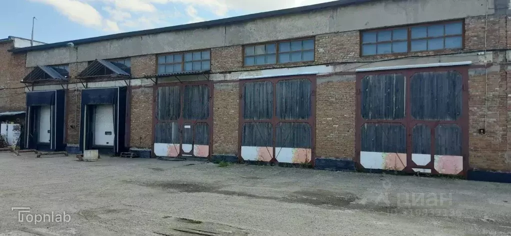 Склад в Алтайский край, Барнаул ул. Чернышевского, 282 (1000 м) - Фото 1
