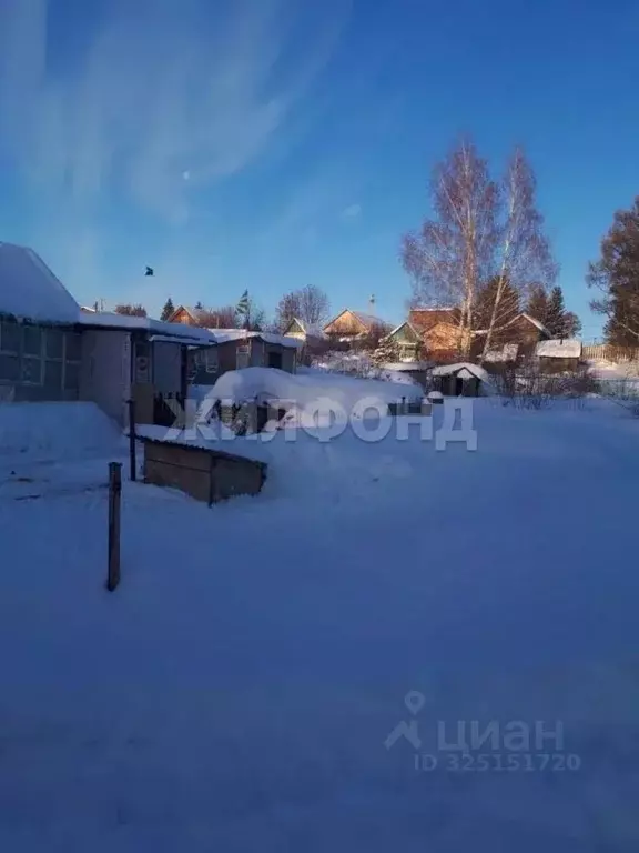 Участок в Новосибирская область, Новосибирск Золотая Горка СНТ, аллея ... - Фото 2