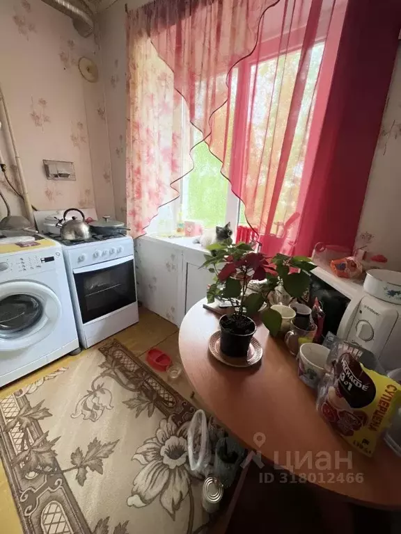 1-к кв. Новгородская область, Старая Русса Профсоюзная ул., 9/45 (31.0 ... - Фото 0