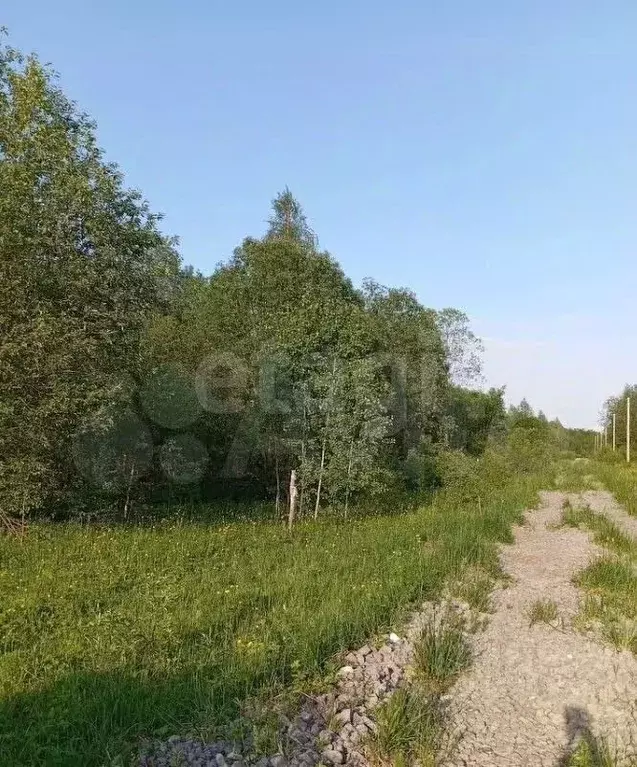 Участок в Вологодская область, Череповецкий район, Ирдоматское с/пос  ... - Фото 1