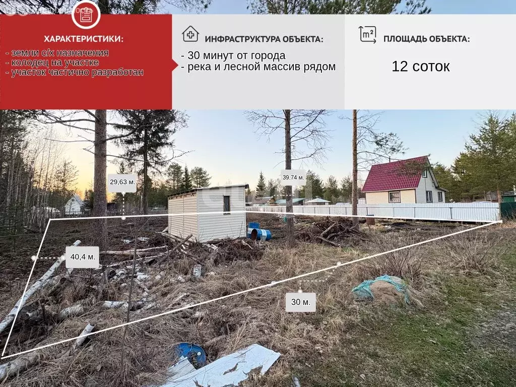 Участок в Архангельская область, Приморский муниципальный округ, СНТ ... - Фото 0