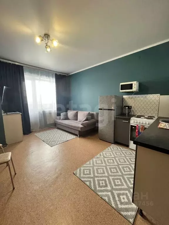 Студия Алтай, Майминский район, с. Майма ул. М. Глухарева (24.4 м) - Фото 2