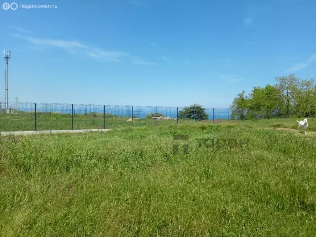 Участок в станица Голубицкая, Морская улица, 2/2 (11 м) - Фото 1