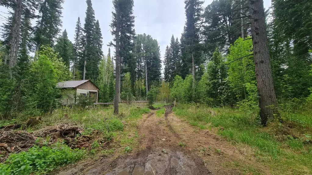 Дом в Томская область, Томский район, д. Казанка ул. Сосновая, 3 (25 ... - Фото 0