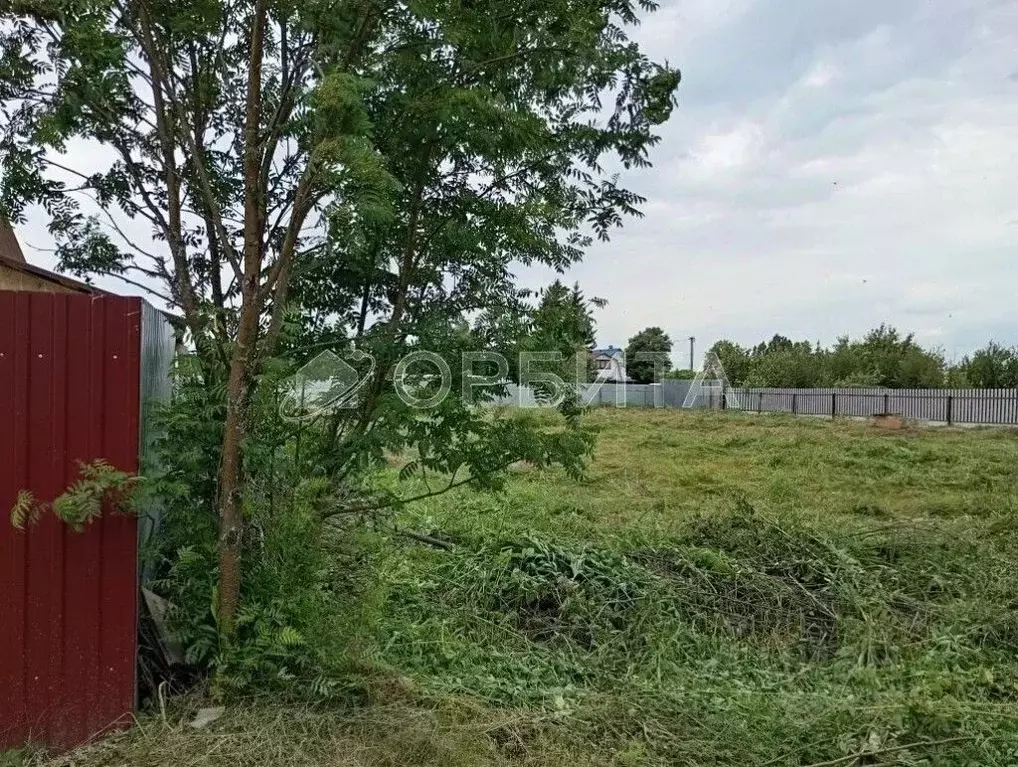 Участок в Тюменская область, Нижнетавдинский муниципальный округ, ... - Фото 2