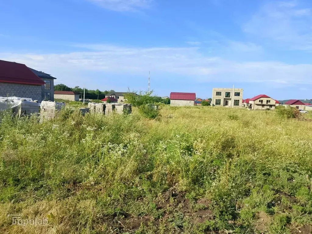 Участок в Кабардино-Балкария, Нальчик городской округ, с. Белая Речка ... - Фото 2