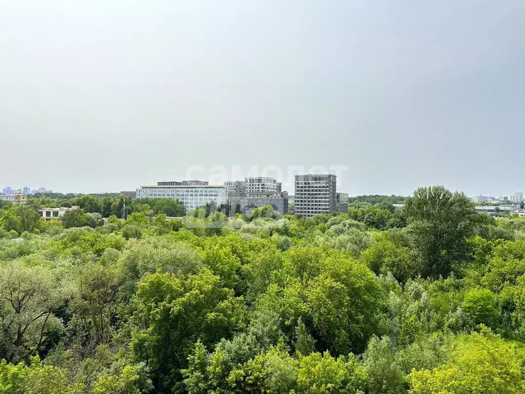 Студия Москва ул. Петра Алексеева, 14 (27.0 м) - Фото 0