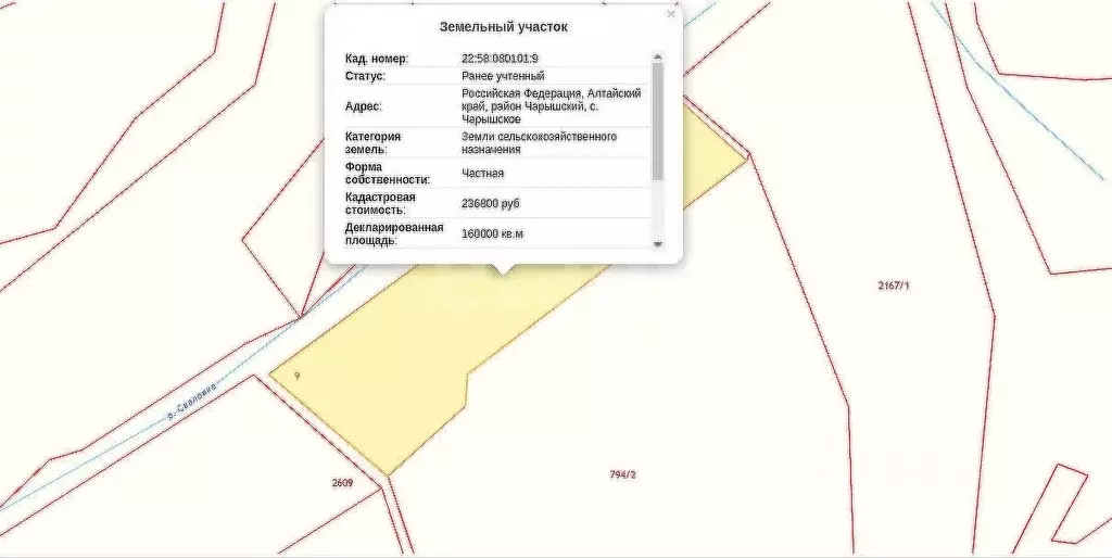 Участок в Алтайский край, Чарышский район, с. Чарышское  (1600.0 сот.) - Фото 2
