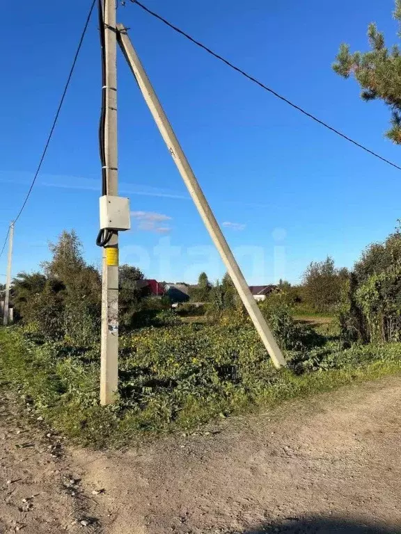 Участок в Вологодская область, Вологда Парус садоводческое ... - Фото 1