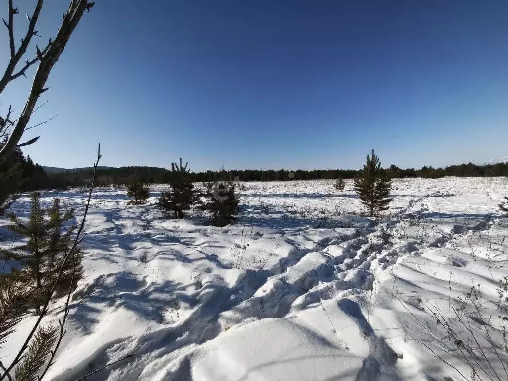 Участок в Бурятия, Тункинский район, с. Жемчуг  (28.4 сот.) - Фото 2