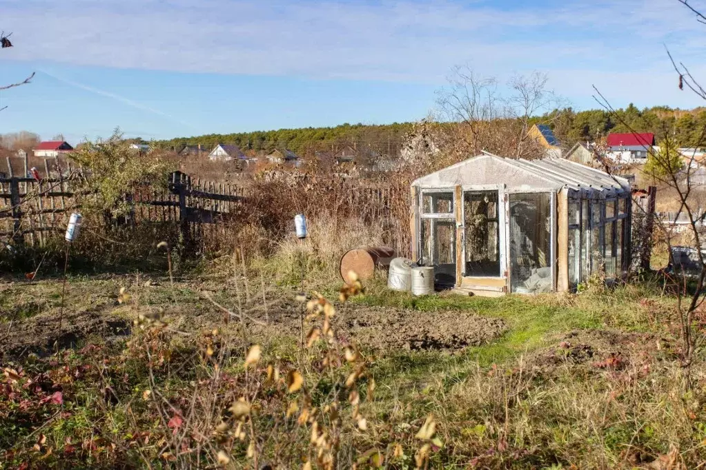 Участок в Тюменская область, Тобольск городской округ, пос. Сумкино ... - Фото 1