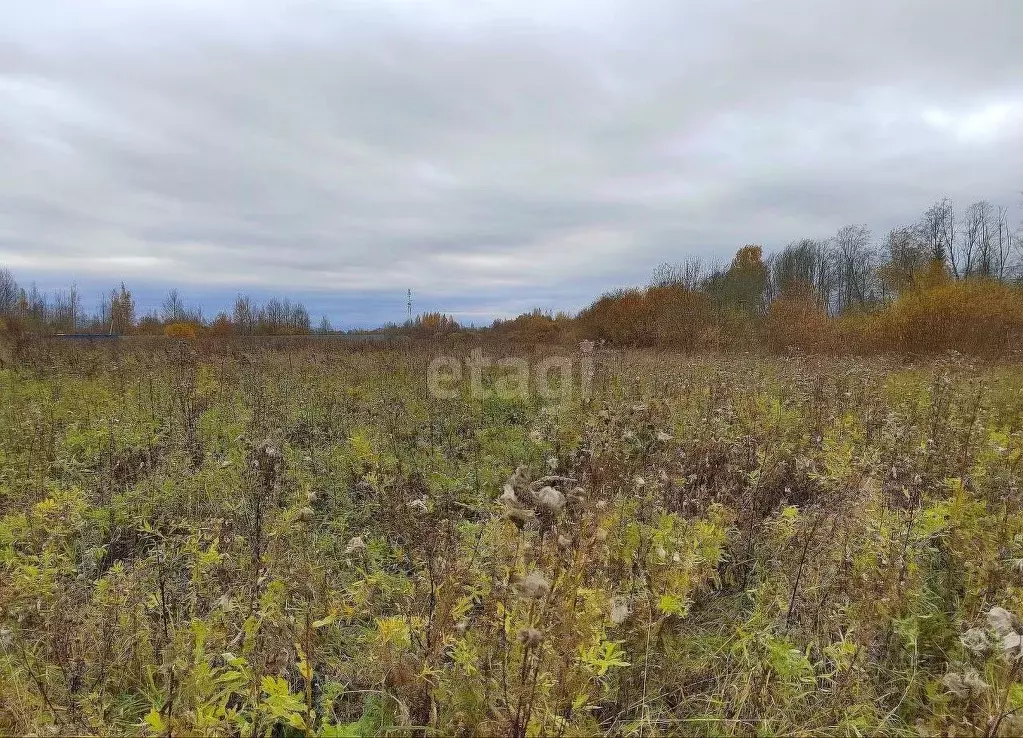 Участок в Ленинградская область, Волховский район, Вындиноостровское ... - Фото 1