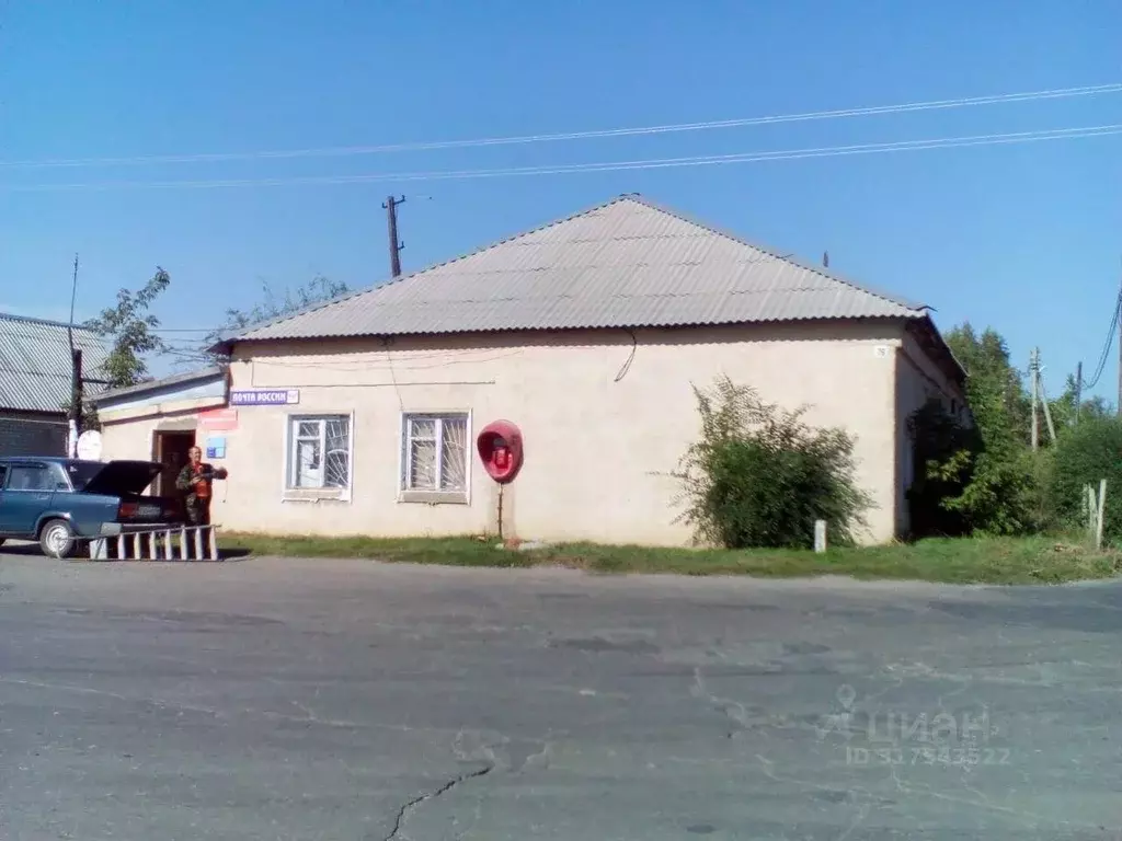 Помещение свободного назначения в Саратовская область, Татищевский ... - Фото 0