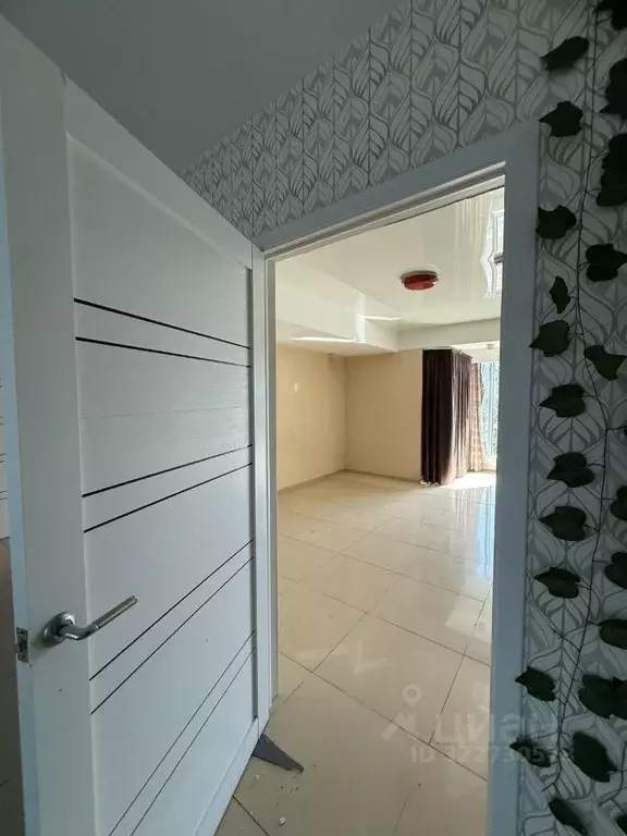 Помещение свободного назначения в Краснодарский край, Сочи Центральный ... - Фото 2