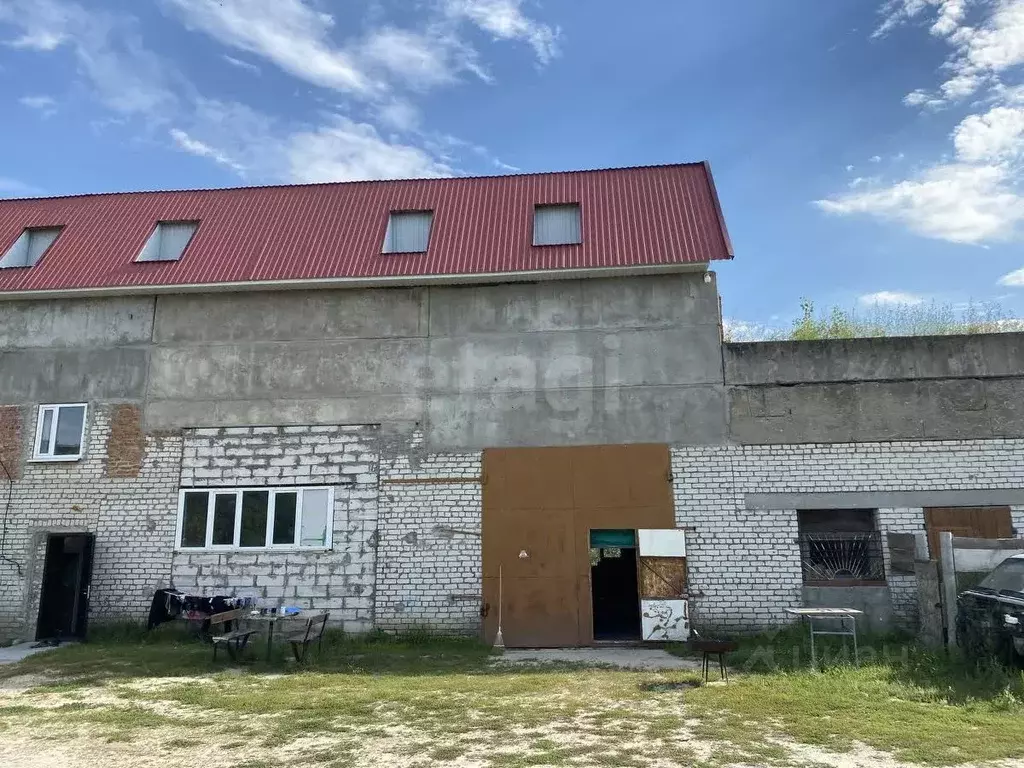 Дом в Саратовская область, Балашовский район, с. Репное Садовая ул., ... - Фото 2