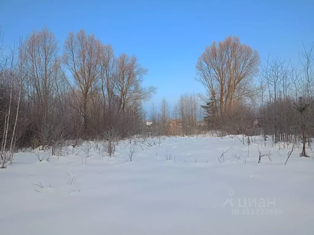 Участок в Марий Эл, Звенигово городское поселение, Дружба СНТ 110 (6.0 ... - Фото 0