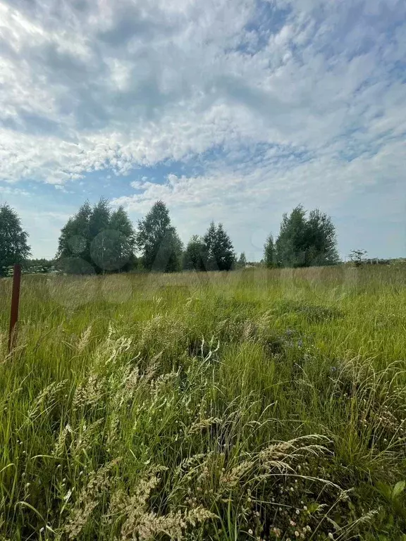 Участок 12 сот. (ИЖС) - Фото 0
