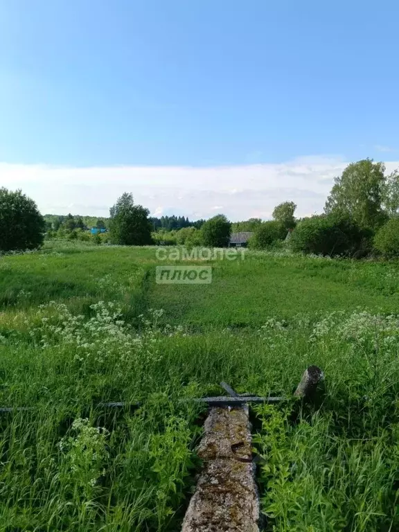 Участок в Вологодская область, Кирилловский муниципальный округ, д. ... - Фото 2