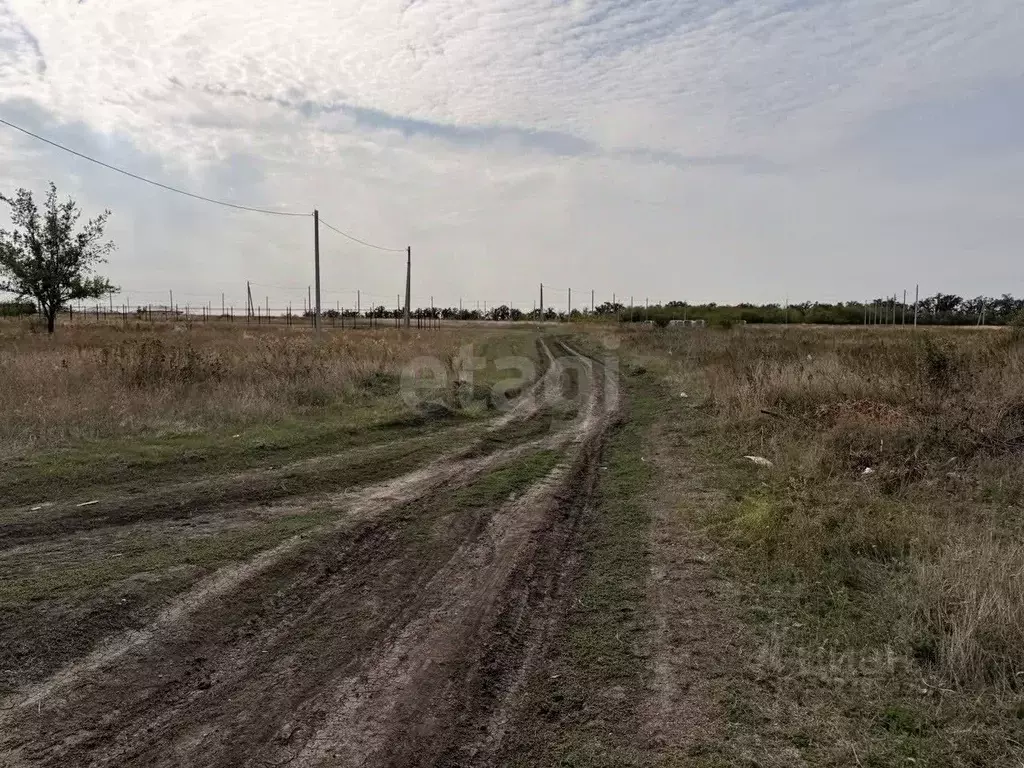Участок в Ростовская область, Мясниковский район, с. Большие Салы ул. ... - Фото 2