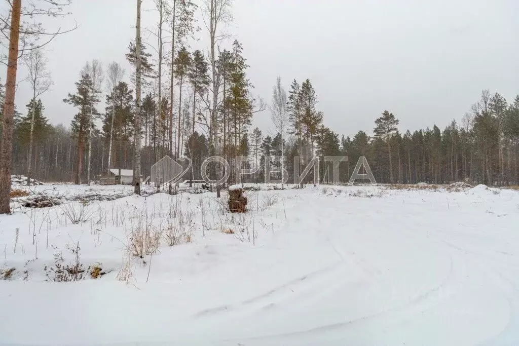 Участок в Тюменская область, Нижнетавдинский район, с. Тюнево ул. ... - Фото 1