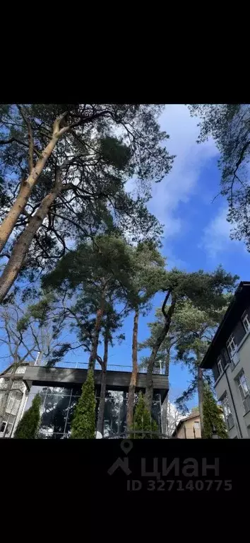 2-к кв. Калининградская область, Светлогорск ул. Некрасова, 1А (51.0 ... - Фото 1