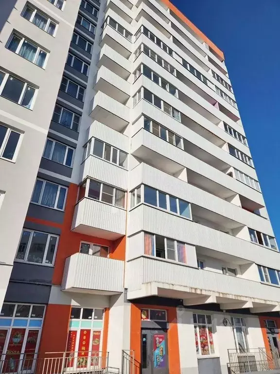 Студия Санкт-Петербург пос. Шушары, Московское ш., 250к2 (24.0 м) - Фото 2