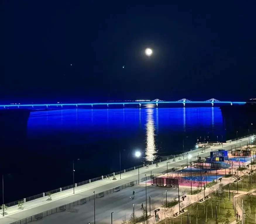 1-к кв. Амурская область, Благовещенск Заводская ул., 2/3 (44.2 м) - Фото 1