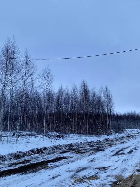 Участок в Марий Эл, Йошкар-Ола городской округ, д. Шоя-Кузнецово ул. ... - Фото 0