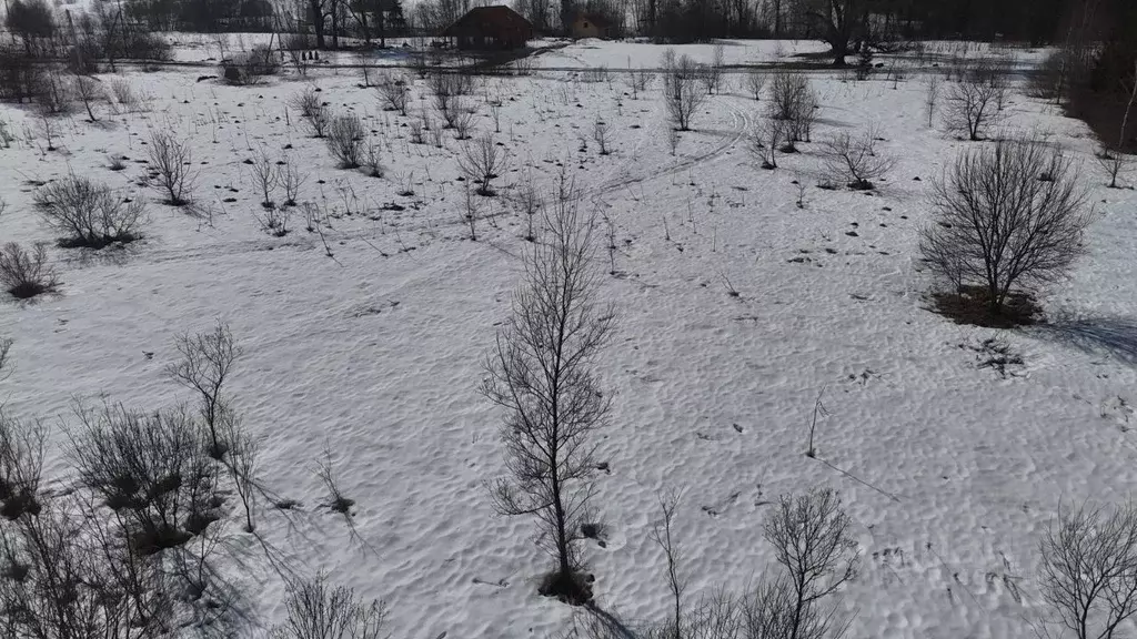 Участок в Московская область, Волоколамский муниципальный округ, д. ... - Фото 1