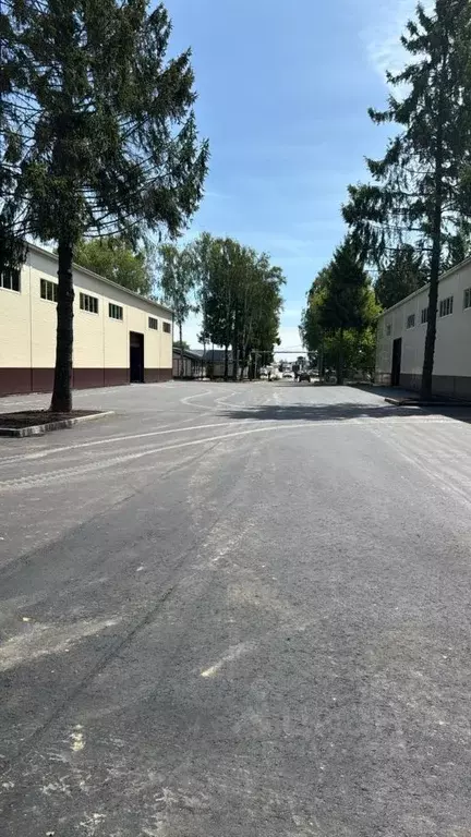 Склад в Московская область, Наро-Фоминск ул. Маршала Жукова, 175с3 ... - Фото 1