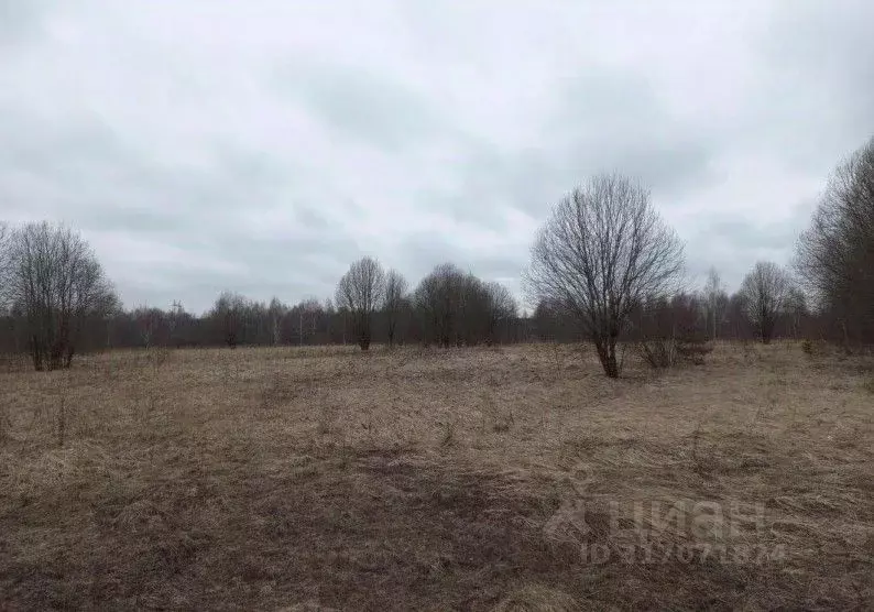 Участок в Московская область, Дмитровский муниципальный округ, д. ... - Фото 1