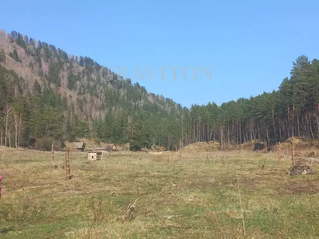 Участок в Алтай, Майминский район, с. Манжерок Ленинская ул. (10.0 ... - Фото 2