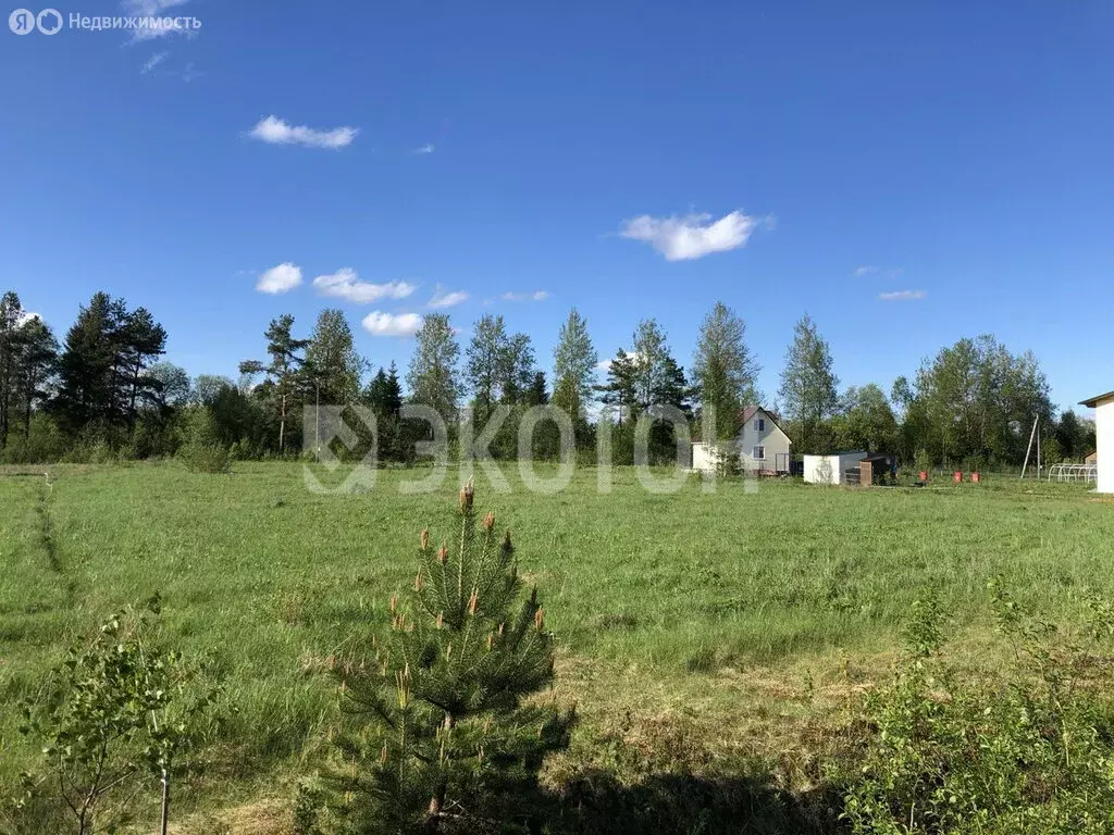 Участок в Мшинское сельское поселение, садоводческий массив Дивенская, ... - Фото 1