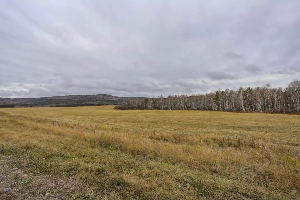 Участок в Иркутская область, Шелехов  (3120.0 сот.) - Фото 1