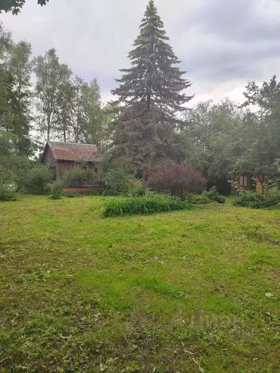 Дом в Московская область, Домодедово ГИПРОВУЗ СНТ,  (50 м) - Фото 0