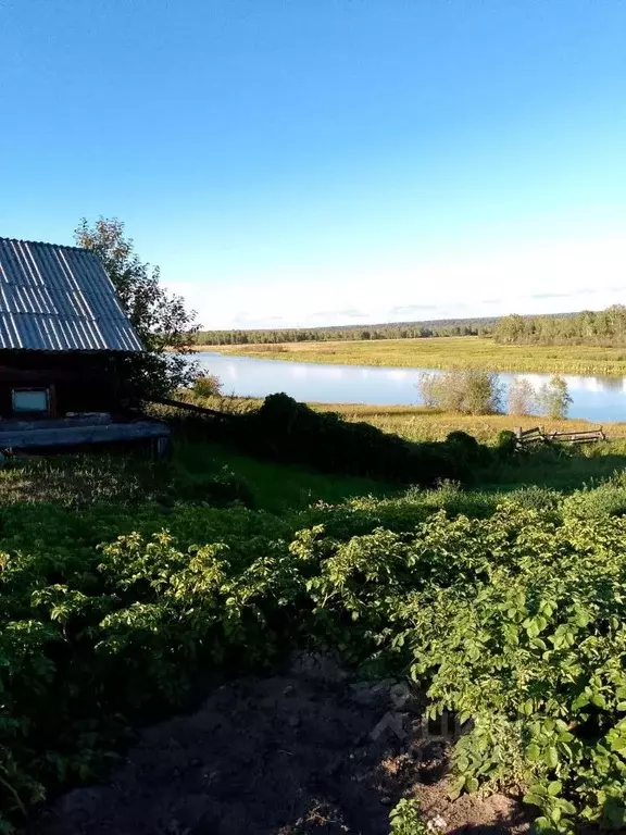 Дом в Иркутская область, Зиминский район, Ухтуйское муниципальное ... - Фото 2