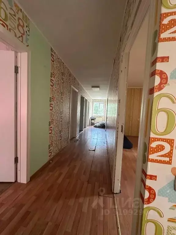 Комната Санкт-Петербург пос. Парголово, Выборгское ш., 258б - Фото 1