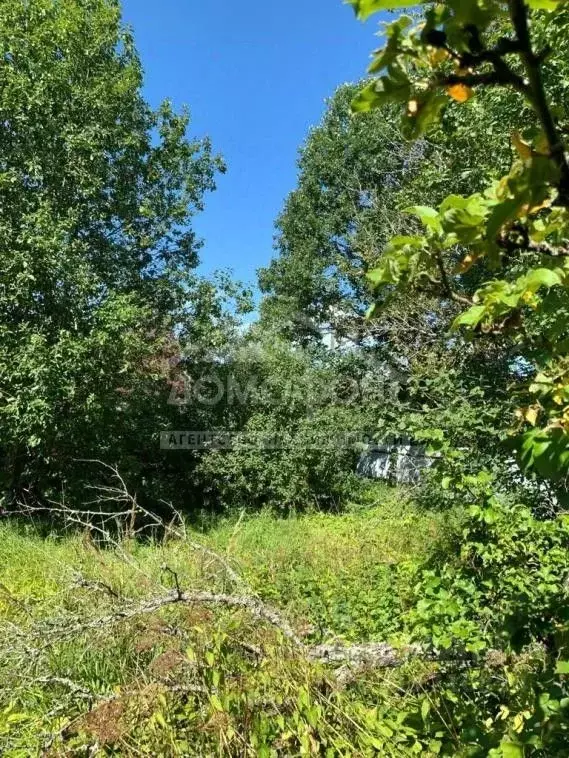 Участок в Новгородская область, Окуловка Пушкинская ул. (17.2 сот.) - Фото 0