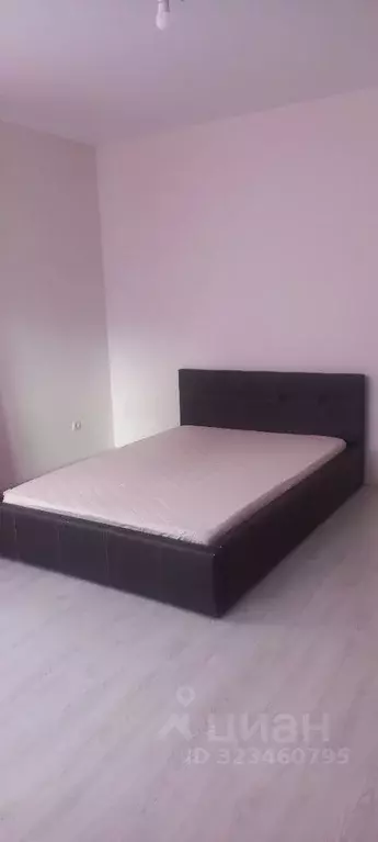 2-к кв. Брянская область, Брянск ул. Имени А.М. Рекункова, 4 (65.0 м) - Фото 2