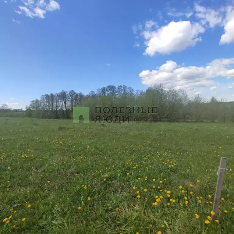 Участок в Татарстан, Зеленодольский район, Айшинское с/пос, д. ... - Фото 2