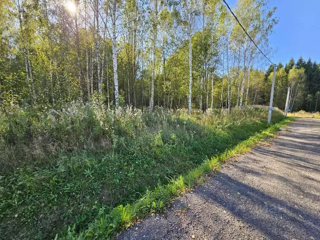 Участок в Московская область, Чехов городской округ, д. Никоново 17 ... - Фото 1