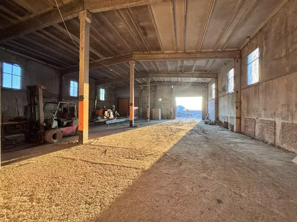 Помещение свободного назначения в Ленинградская область, Волосовский ... - Фото 1