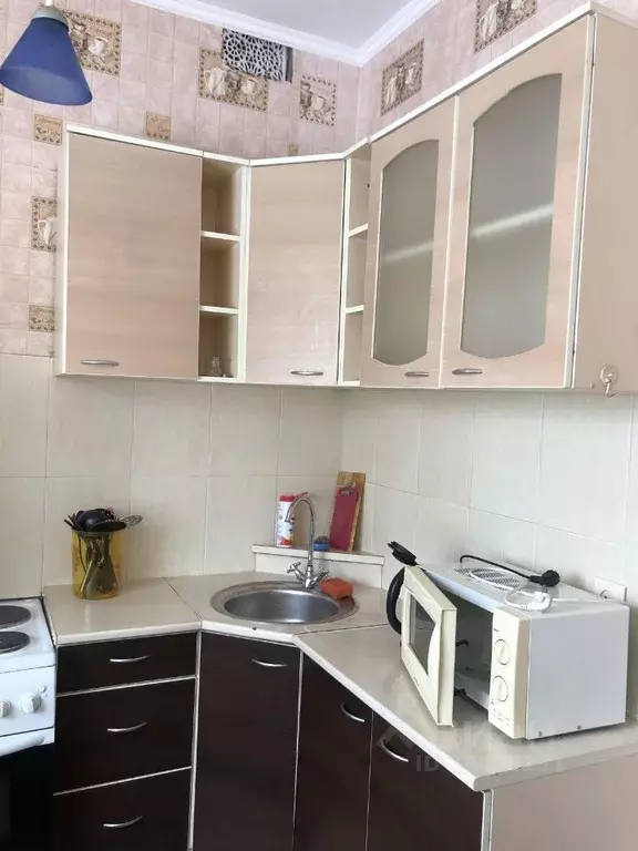 1-к кв. Новосибирская область, Новосибирск ул. Дуси Ковальчук, 183 ... - Фото 0